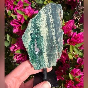 Ocean Jasper Rock on Stand
